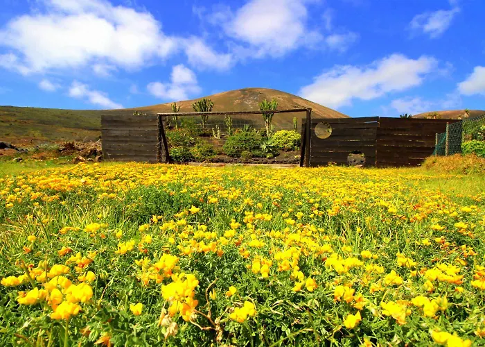 Roco 2 - Terrasse Mit Meerblick, Sauna, Grosser Pool, Pure Entspannung